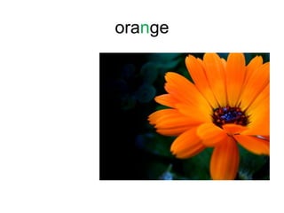 orange
 