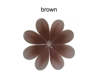 brown
 