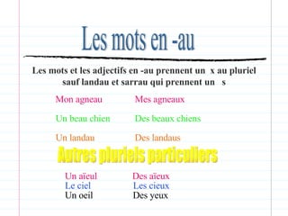 Les mots en -au Les mots et les adjectifs en -au prennent un  x au pluriel sauf landau et sarrau qui prennent un  s Mon agneau Mes agneaux Un beau chien Des beaux chiens Un landau Des landaus Autres pluriels particuliers Un aïeul  Des aïeux   Le ciel  Les cieux Un oeil  Des yeux  