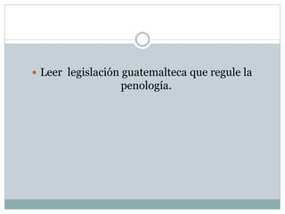  Leer legislación guatemalteca que regule la
penología.
 