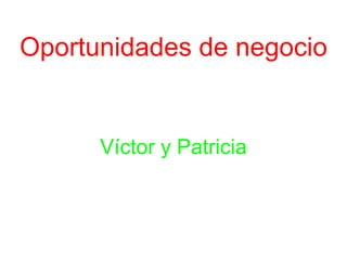 Oportunidades de negocio Víctor y Patricia 