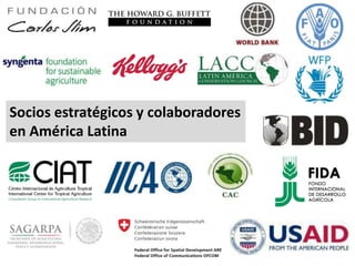 Socios estratégicos y colaboradores
en América Latina
 