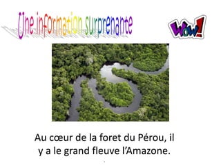 Au cœur de la foret du Pérou, il
y a le grand fleuve l’Amazone.
.