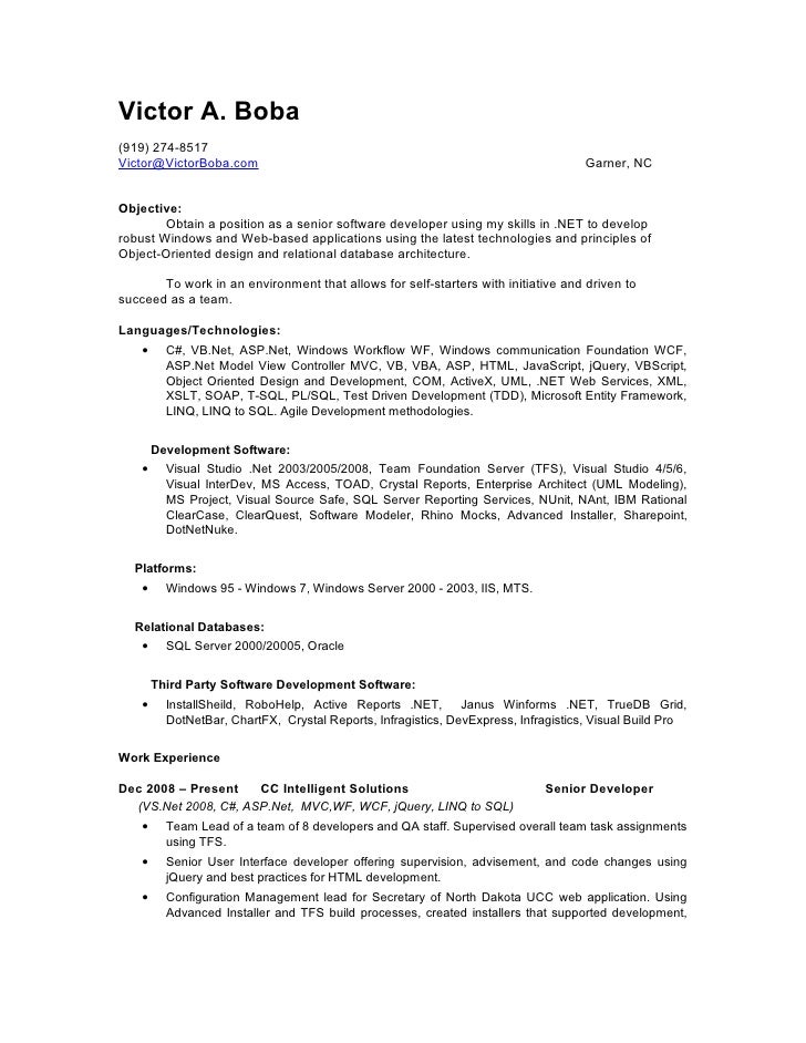 ms access developer resume