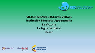 VICTOR MANUEL BUELVAS VERGEL
Institución Educativa Agropecuaria
La Victoria
La Jagua de Ibirico
Cesar
 