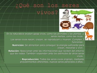 ¿Qué son los seres
             vivos?


En la naturaleza existen seres vivos, como los animales y las plantas ,y
                                         seres inertes, como las rocas.
    Los seres vivos nacen, crecen, se reproducen y mueren. Cumplen 3
                                                            funciones:
     -Nutrición: Se alimentan para conseguir la energía suficiente para

                                               crecer, moverse y vivir.
 -Relación: Reaccionan ante las informaciones que reciben del entorno

   que les rodea. También responden ante los estímulos de otros seres
                                                                 vivos.
            -- Reproducción: Todos los seres vivos originan, mediante

             procedimientos diferentes, nuevos seres parecidos a ellos.
 