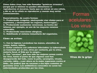 Como todos virus, han sido llamados "químicas vivientes",
porque por sí mismos no pueden alimentarse ni
reproducirse ni moverse, hasta que no entran en una célula,
y ahí sí, en la célula se reproducen y causan muy serias
consecuencias.
                                                                 Formas
Esencialmente, de cuatro formas:
1.- Produciendo coágulos, obstruyendo vías vitales para el
organismo, y destruyendo los órganos, hemorragias...
                                                               acelulares:
2.- Produciendo sustancias venenosas. La toxina del
tétanos, por ejemplo, es uno de los mayores venenos             Los virus
conocidos.
3.- Produciendo reacciones alérgicas.
4.- Debilitando el sistema inmunitario del organismo.

Cómo se evitan:

1.- Con la higiene: Lavándose las manos, utensilios de
comer, baños, toilets.
2.- Evitar contacto con enfermos infectados: La tuberculosis
se transmite por el aire, otros por contacto, por la orina,
materia fecal, el Sida por la sangre…
3.- Con "vacunas", que han sido las mejores armas contra
los virus, hasta el punto de que algunos casi han              Virus de la gripe
desaparecido del todo, como la polio, sarampión, viruela,
varicela, rabia… y por ahora es la mejor esperanza contra el
Sida… los padres que no vacunan a sus hijos cometen un
gravísimo error. Los antibióticos conocidos no curan las
enfermedades producidas por los virus.
 