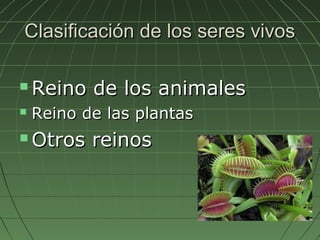 Clasificación de los seres vivos

   Reino de los animales
   Reino de las plantas
   Otros reinos
 