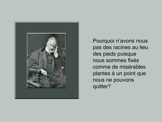 Pourquoi n’avons nous pas des racines au lieu des pieds puisque nous sommes fixés comme de misérables plantes à un point que nous ne pouvons quitter? 