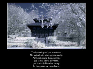 Te deseo de paso que seas triste.
No todo el año, sino apenas un día.
  Pero que en ese día descubras
    que la risa diaria es buena,
  que la risa habitual es sosa y
   la risa constante es malsana.
 