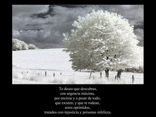 Te deseo que descubras,
           con urgencia máxima,
       por encima y a pesar de todo,
       que existen, y que te rodean,
             seres oprimidos,
tratados con injusticia y personas infelices.
 