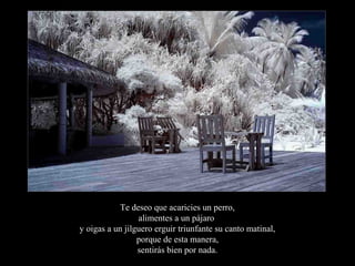Te deseo que acaricies un perro,
                 alimentes a un pájaro
y oigas a un jilguero erguir triunfante su canto matinal,
                 porque de esta manera,
                 sentirás bien por nada.
 
