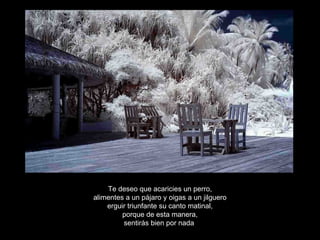 Te deseo que acaricies un perro, alimentes a un pájaro y oigas a un jilguero erguir triunfante su canto matinal, porque de esta manera, sentirás bien por nada . 