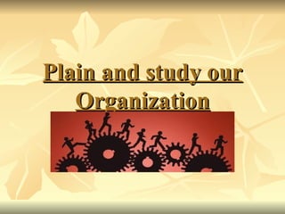 Plain and study our   Organization 