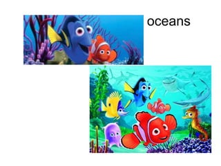 oceans
 
