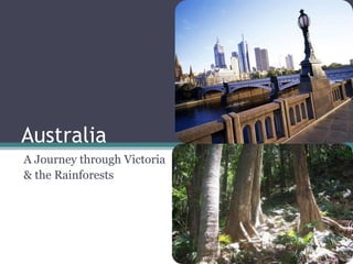 Australia A Journey through Victoria  & the Rainforests 