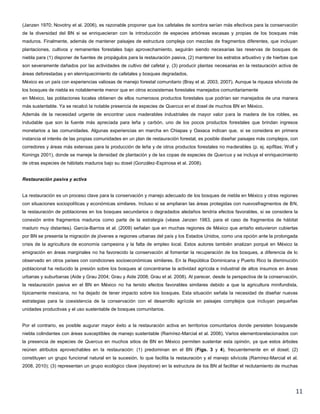 11
(Janzen 1970; Novotny et al. 2006), es razonable proponer que los cafetales de sombra serían más efectivos para la conservación
de la diversidad del BN si se enriquecieran con la introducción de especies arbóreas escasas y propias de los bosques más
maduros. Finalmente, además de mantener paisajes de estructura compleja con mezclas de fragmentos diferentes, que incluyan
plantaciones, cultivos y remanentes forestales bajo aprovechamiento, seguirán siendo necesarias las reservas de bosques de
niebla para (1) disponer de fuentes de propágulos para la restauración pasiva, (2) mantener los estratos arbustivo y de hierbas que
son severamente dañados por las actividades de cultivo del cafetal y, (3) producir plantas necesarias en la restauración activa de
áreas deforestadas y en elenriquecimiento de cafetales y bosques degradados.
México es un país con experiencias valiosas de manejo forestal comunitario (Bray et al. 2003, 2007). Aunque la riqueza silvícola de
los bosques de niebla es notablemente menor que en otros ecosistemas forestales manejados comunitariamente
en México, las poblaciones locales obtienen de ellos numerosos productos forestales que podrían ser manejados de una manera
más sustentable. Ya se recalcó la notable presencia de especies de Quercus en el dosel de muchos BN en México.
Además de la necesidad urgente de encontrar usos maderables industriales de mayor valor para la madera de los robles, es
indudable que son la fuente más apreciada para leña y carbón, uno de los pocos productos forestales que brindan ingresos
monetarios a las comunidades. Algunas experiencias en marcha en Chiapas y Oaxaca indican que, si se considera en primera
instancia el interés de las propias comunidades en un plan de restauración forestal, es posible diseñar paisajes más complejos, con
corredores y áreas más extensas para la producción de leña y de otros productos forestales no maderables (p. ej. epífitas; Wolf y
Konings 2001), donde se maneje la densidad de plantación y de las copas de especies de Quercus y se incluya el enriquecimiento
de otras especies de hábitats maduros bajo su dosel (González-Espinosa et al. 2008).
Restauración pasiva y activa
La restauración es un proceso clave para la conservación y manejo adecuado de los bosques de niebla en México y otras regiones
con situaciones sociopolíticas y económicas similares. Incluso si se ampliaran las áreas protegidas con nuevosfragmentos de BN,
la restauración de poblaciones en los bosques secundarios o degradados aledaños tendría efectos favorables, si se considera la
conexión entre fragmentos maduros como parte de la estrategia (véase Janzen 1983, para el caso de fragmentos de hábitat
maduro muy distantes). García-Barrios et al. (2009) señalan que en muchas regiones de México que antaño estuvieron cubiertas
por BN se presenta la migración de jóvenes a regiones urbanas del país y los Estados Unidos, como una opción ante la prolongada
crisis de la agricultura de economía campesina y la falta de empleo local. Estos autores también analizan porqué en México la
emigración en áreas marginales no ha favorecido la conservación al fomentar la recuperación de los bosques, a diferencia de lo
observado en otros países con condiciones socioeconómicas similares. En la República Dominicana y Puerto Rico la disminución
poblacional ha reducido la presión sobre los bosques al concentrarse la actividad agrícola e industrial de altos insumos en áreas
urbanas y suburbanas (Aide y Grau 2004; Grau y Aide 2008; Grau et al. 2008). Al parecer, desde la perspectiva de la conservación,
la restauración pasiva en el BN en México no ha tenido efectos favorables similares debido a que la agricultura minifundista,
típicamente mexicana, no ha dejado de tener impacto sobre los bosques. Esta situación señala la necesidad de diseñar nuevas
estrategias para la coexistencia de la conservación con el desarrollo agrícola en paisajes complejos que incluyan pequeñas
unidades productivas y el uso sustentable de bosques comunitarios.
Por el contrario, es posible augurar mayor éxito a la restauración activa en territorios comunitarios donde persisten bosquesde
niebla colindantes con áreas susceptibles de manejo sustentable (Ramírez-Marcial et al. 2006). Varios elementosrelacionados con
la presencia de especies de Quercus en muchos sitios de BN en México permiten sustentar esta opinión, ya que estos árboles
reúnen atributos aprovechables en la restauración: (1) predominan en el BN (Figs. 3 y 4), frecuentemente en el dosel; (2)
constituyen un grupo funcional natural en la sucesión, lo que facilita la restauración y el manejo silvícola (Ramírez-Marcial et al.
2008, 2010); (3) representan un grupo ecológico clave (keystone) en la estructura de los BN al facilitar el reclutamiento de muchas
 
