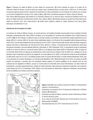 4
Figura 1. Bosques de niebla de México en buen estado de conservación. (A) Cimas cubiertas de nubes en la región de La
Chinantla, estado de Oaxaca, una de las áreas que reciben mayor cantidad de lluvia en el país (aprox. 5,500 mm). En primer plano
se aprecian algunas copas de pinos, especies que predominan en áreas perturbadas o en los bosques de coníferas que se ubican
en la sombra orográfica de la serranía. Foto: Jorge A. Meave. (B) Cimas y pendientes abruptas en Teipan, estado de Oaxaca.
Foto: Nancy Mejía-Domínguez. (C) Cañada en La Chinantla (Oaxaca) con un árbol de Ulmus mexicana de alrededor de 60 m de
altura con follaje verde claro recientemente formado. Foto: Jorge A. Meave. (D) Cañada profunda en el ejido San Pedro Buenavista,
estado de Veracruz. Foto: Tarín Toledo-Aceves. (E) Nubes sobre cañadas y laderas en Teipan (Oaxaca). Foto: Nancy Mejía-
Domínguez. Ecosistemas 21 (1-2).
Distribución de los bosques de niebla
Los bosques de niebla en México incluyen, de manera general, comunidades forestales transicionales de las montañas húmedas
tropicales y subtropicales entre 1500 y 2500 m de altitud, al sur del paralelo 25° de latitud norte (Villaseñor 2010; Toledo-Aceves et
al. 2011) (Fig. 2). Sin embargo, en algunos casos se incluyen también comunidades cuya distribución puede extenderse muy por
debajo (600 m) o encima (3200 m) de estos límites altitudinales debido a la influencia de la topografía (efecto Massenerhebung;
Grubb 1971) o la alta disponibilidad local de humedad (Luna et al. 2001). Comúnmente los BN ocupan áreas húmedas contiguas a
bosques más secos y estacionales con dominancia de Pinus, Quercus, o ambos, y más frescas que las ocupadas por varios tipos
de bosques tropicales a menores altitudes (Miranda y Hernández X. 1963; Rzedowski 1978). La precipitación anual en localidades
de BN no es menor de 1000 mm, a menudo excede 1500 mm y en algunas áreas rebasa 3000 mm (Rzedowski 1978). La región de
La Chinantla (Sierra Norte de Oaxaca) es posiblemente el área más lluviosa en México (más de 5500 mm) y alberga uno de los
ejemplos mejor conservados de este tipo de vegetación en el país (Meave et al. 2006). La temperatura media anual de localidades
con BN puede variar de 12 a 23°C. Las heladas pueden incidir en la parte alta del dosel y en áreas abiertas (Rzedowski 1978), pero
no se presentan en el interior del bosque o al nivel del suelo (Breedlove 1981; Mejía-Domínguez et al. 2012). Los suelos de los BN
pueden ser profundos o someros pero con abundante materia orgánica. El sustrato geológico es tan variable como en casi
cualquier tipo de vegetación en México, aunque en muchas áreas se desarrolla sobre rocas sedimentarias. Los altos niveles de
precipitación y una baja evapotranspiración, resultan en suelos saturados, adecuados para organismos anaerobios, que ocasionan
suelos ácidos (pH de 4 a 6; Rzedowski 1978). Debido a que este bosque se desarrolla en regiones montañosas, las pendientes
donde se establece son fuertes y los terrenos abruptos.
Figura 2. (A) Mapa que muestra la posición de México en Norteamérica
respecto a Centroamérica y
Sudamérica y la ubicación de los 31 estados de la federación y el Distrito
Federal. (B) Distribución
del bosque de niebla en México (manchas verdes). Elaborado por Marco
A. Romero-Romero a partir
de un mapa de la Comisión Nacional para el Conocimiento y Uso de la
Biodiversidad (CONABIO)
(González-Espinosa et al. 2011; Toledo-Aceves et al. 2011).
 