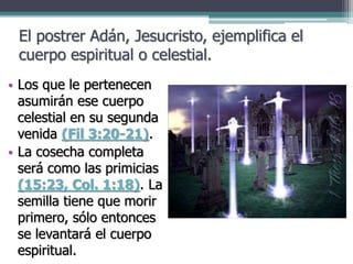El postrer Adán, Jesucristo, ejemplifica el
cuerpo espiritual o celestial.
• Los que le pertenecen
asumirán ese cuerpo
celestial en su segunda
venida (Fil 3:20-21).
• La cosecha completa
será como las primicias
(15:23, Col. 1:18). La
semilla tiene que morir
primero, sólo entonces
se levantará el cuerpo
espiritual.
 