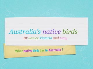 Australia’s native birds
          BY Janice Victoria and Lucy


  Wh a t n ati ve bi rd s li ve in A us tra li a ?
 