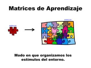 pixabay.com
Matrices de Aprendizaje
pixabay.com
Modo en que organizamos los
estímulos del entorno.
 