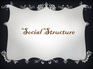 Social Structure
 