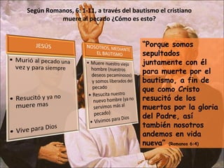 “Porque somos
sepultados
juntamente con él
para muerte por el
bautismo, a fin de
que como Cristo
resucitó de los
muertos por la gloria
del Padre, así
también nosotros
andemos en vida
nueva” (Romanos 6:4)
Según Romanos, 6: 1-11, a través del bautismo el cristiano
muere al pecado ¿Cómo es esto?
 