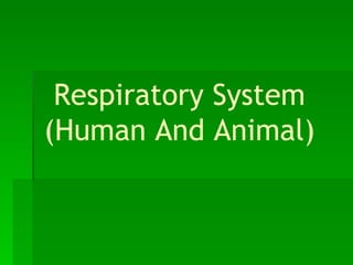 Respiratory System (Human And Animal) 