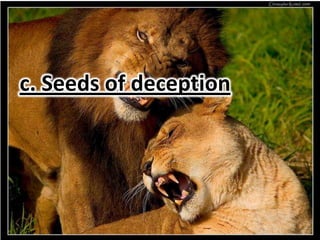 c. Seeds of deception
 