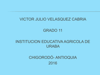 VICTOR JULIO VELASQUEZ CABRIA
GRADO 11
INSTITUCION EDUCATIVA AGRICOLA DE
URABA
CHIGORODÓ- ANTIOQUIA
2016
 