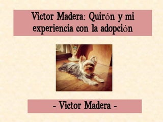 - Victor Madera -
Victor Madera: Quirón y mi
experiencia con la adopción
 