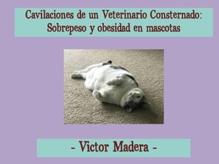 Cavilaciones de un Veterinario Consternado:
Sobrepeso y obesidad en mascotas
- Victor Madera -
 