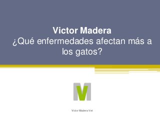 Victor Madera
¿Qué enfermedades afectan más a
los gatos?
Victor Madera Vet
 