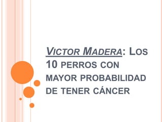 VICTOR MADERA: LOS
10 PERROS CON
MAYOR PROBABILIDAD
DE TENER CÁNCER
 