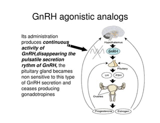 Comprehensive Overview of Fertility Drugs and Their Mechanisms in ...