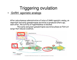 Comprehensive Overview of Fertility Drugs and Their Mechanisms in ...
