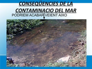 COM ESTALVIAR AIGUA Per evitar que s’acabi l’aigua  aquí tens uns quants consells: 1. Dutxar-nos en comptes de banyar-nos, així gastarem cinc vegades menys quantitat d'aigua. 2. Tancar l'aixeta de la dutxa mentre ens ensabonem ..... 