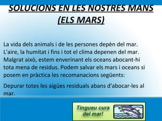 La ramaderia també implica un important consum d’aigua. 