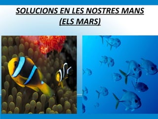 L’aigua domestica es consumeix a les llars. 