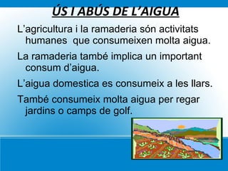 Solucions en les nostres mans (l’aigua) 