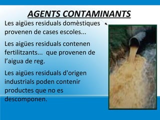 Conseqüències de la contaminació del mar 