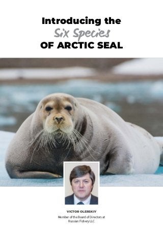 Introducing the
OF ARCTIC SEAL
VICTOR OLERSKIY
Member of the Board of Directors at
Russian Fishery LLC
Six Species
 