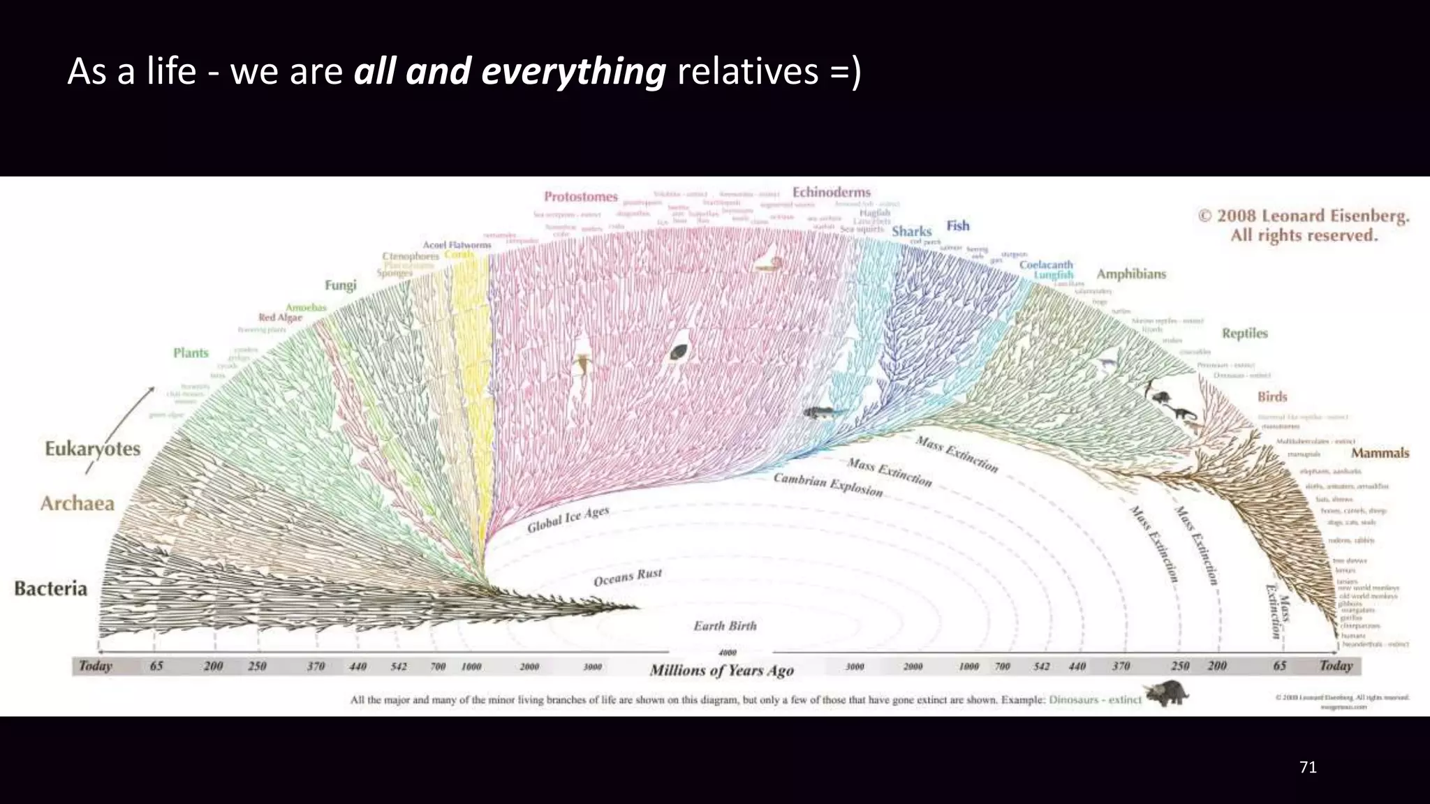 71
As a life - we are all and everything relatives =)
 