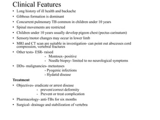 Clinical Features
• Long history of ill health and backache
• Gibbous formation is dominant
• Concurrent pulmonary TB common in children under 10 years
• Spinal movements are restricted
• Children under 10 years usually develop pigeon chest (pectus carinatum)
• Sensory/motor changes may occur in lower limb
• MRI and CT scan are suitable in investigation- can point out abscesses cord
compression, vertebral fractures
• Other tests- ESR- raised
- Montoux- positive
- Needle biopsy- limited to no neurological symptoms
• DDx- malignancies- metastases
- Pyogenic infections
- Hydatid disease
Treatment
• Objectives- eradicate or arrest disease
- prevent/correct deformity
- Prevent or treat complication
• Pharmacology- anti-TBs for six months
• Surgical- drainage and stabilization of vertebra
 
