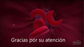 Gracias por su atención
 