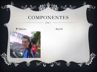 componentesMateus                                            deyvid