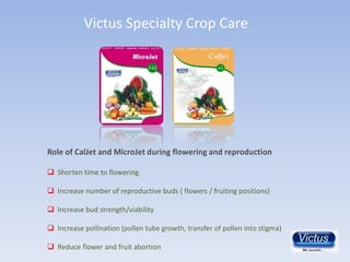 Agriculture Brochure 2009 - Victus | PDF