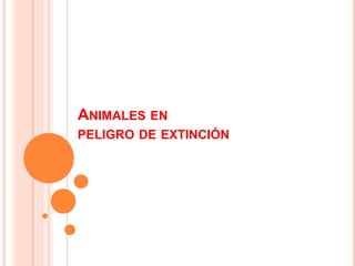 ANIMALES EN
PELIGRO DE EXTINCIÓN
 