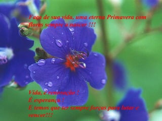 Faça de sua vida, uma eterna Primavera com flores sempre a nascer !!! Vida, é renovação ! É esperança ! E temos que ter sempre forças para lutar e vencer!!! 