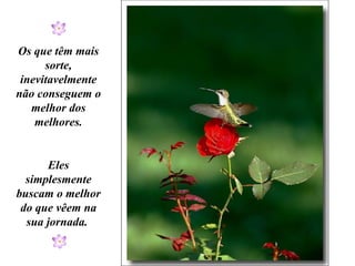 Os que têm mais sorte, inevitavelmente não conseguem o melhor dos melhores. Eles simplesmente buscam o melhor do que vêem na sua jornada.  